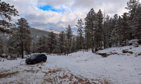 4501 County Road 72 Bailey CO 80421