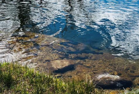 17430 Reserve Drive Buena Vista CO 81211