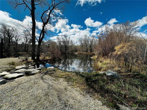 17430 Reserve Drive Buena Vista CO 81211