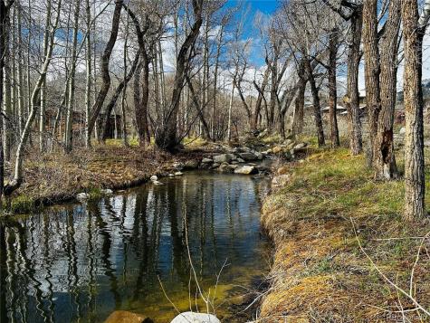 17430 Reserve Drive Buena Vista CO 81211