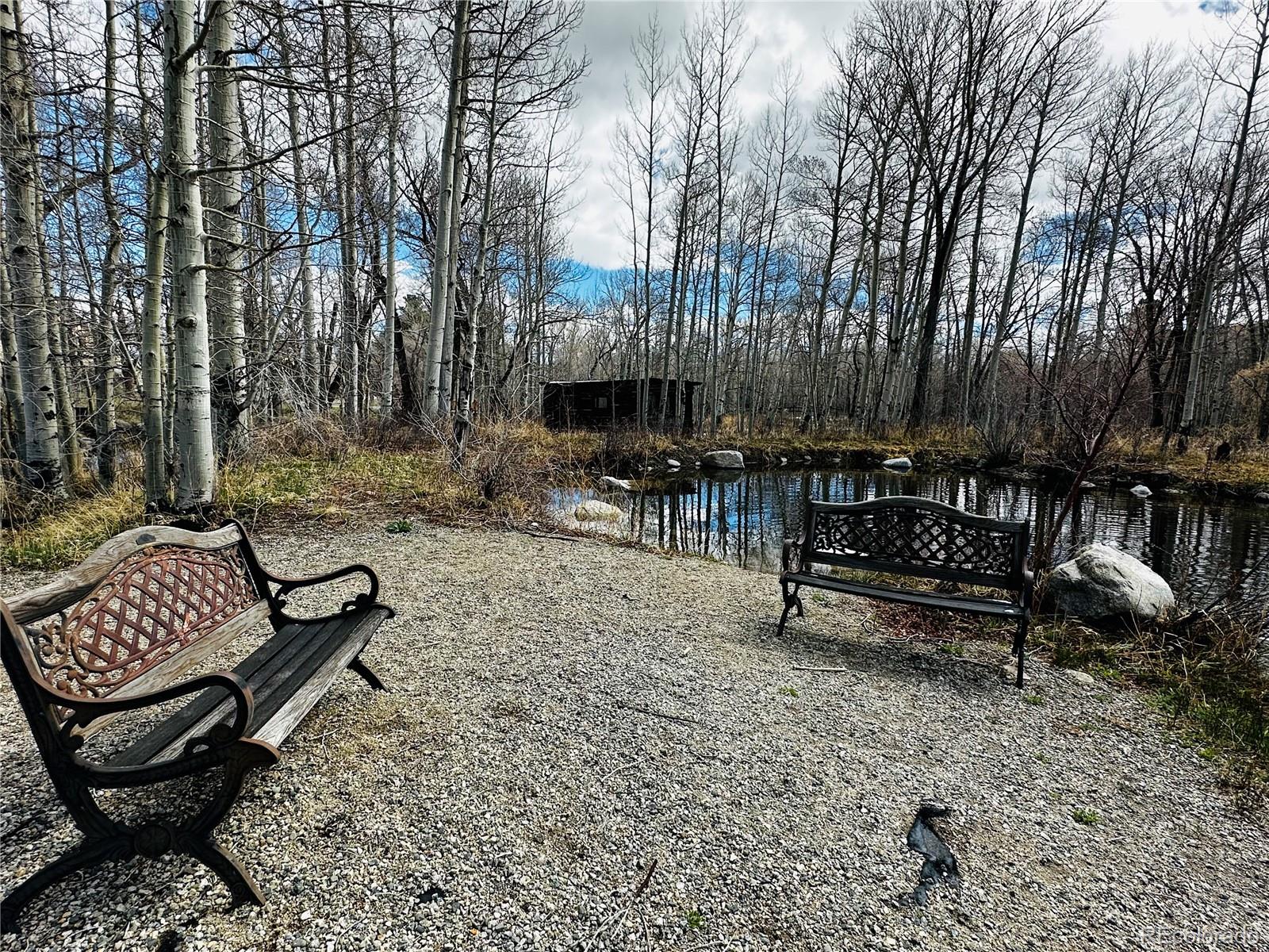 17430 Reserve Drive Buena Vista CO 81211