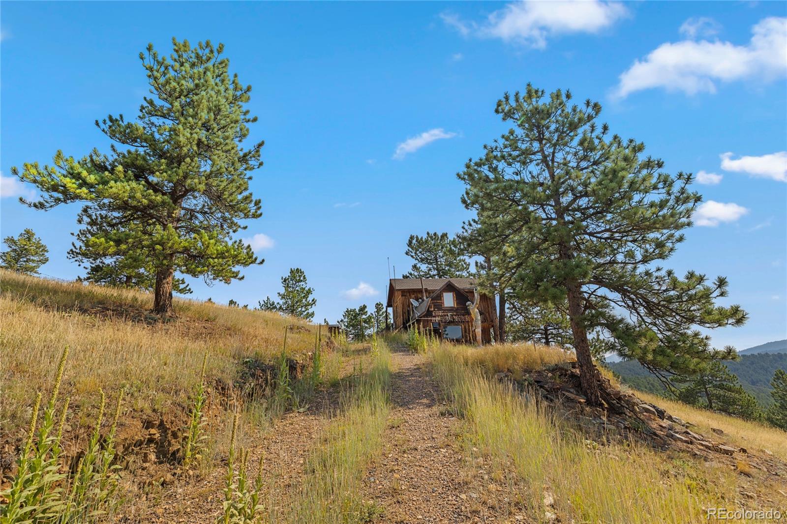 27873 Meadow View Drive Evergreen CO 80439