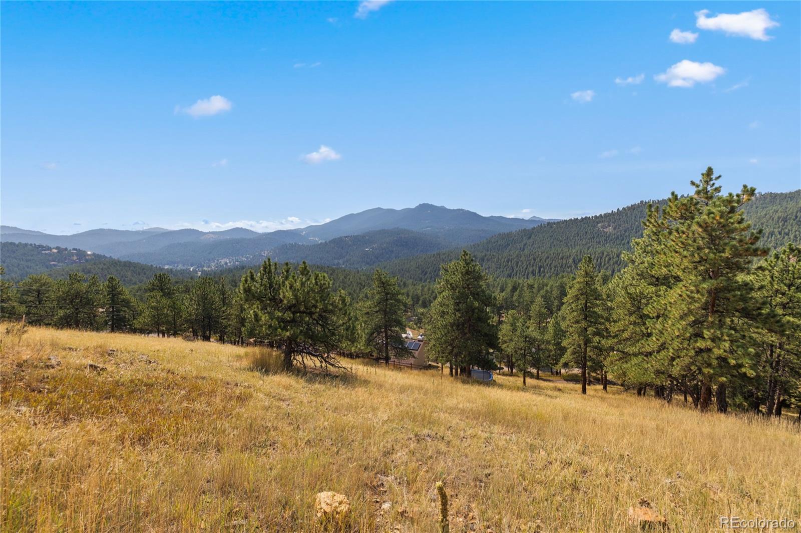 27873 Meadow View Drive Evergreen CO 80439