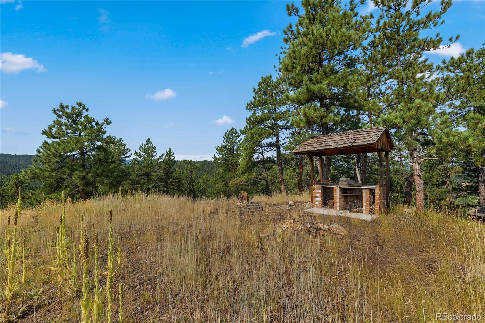27873 Meadow View Drive Evergreen CO 80439