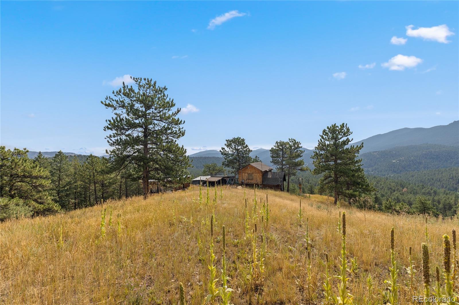 27873 Meadow View Drive Evergreen CO 80439