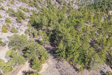 Wild Wagoner Trail Dumont CO 80452