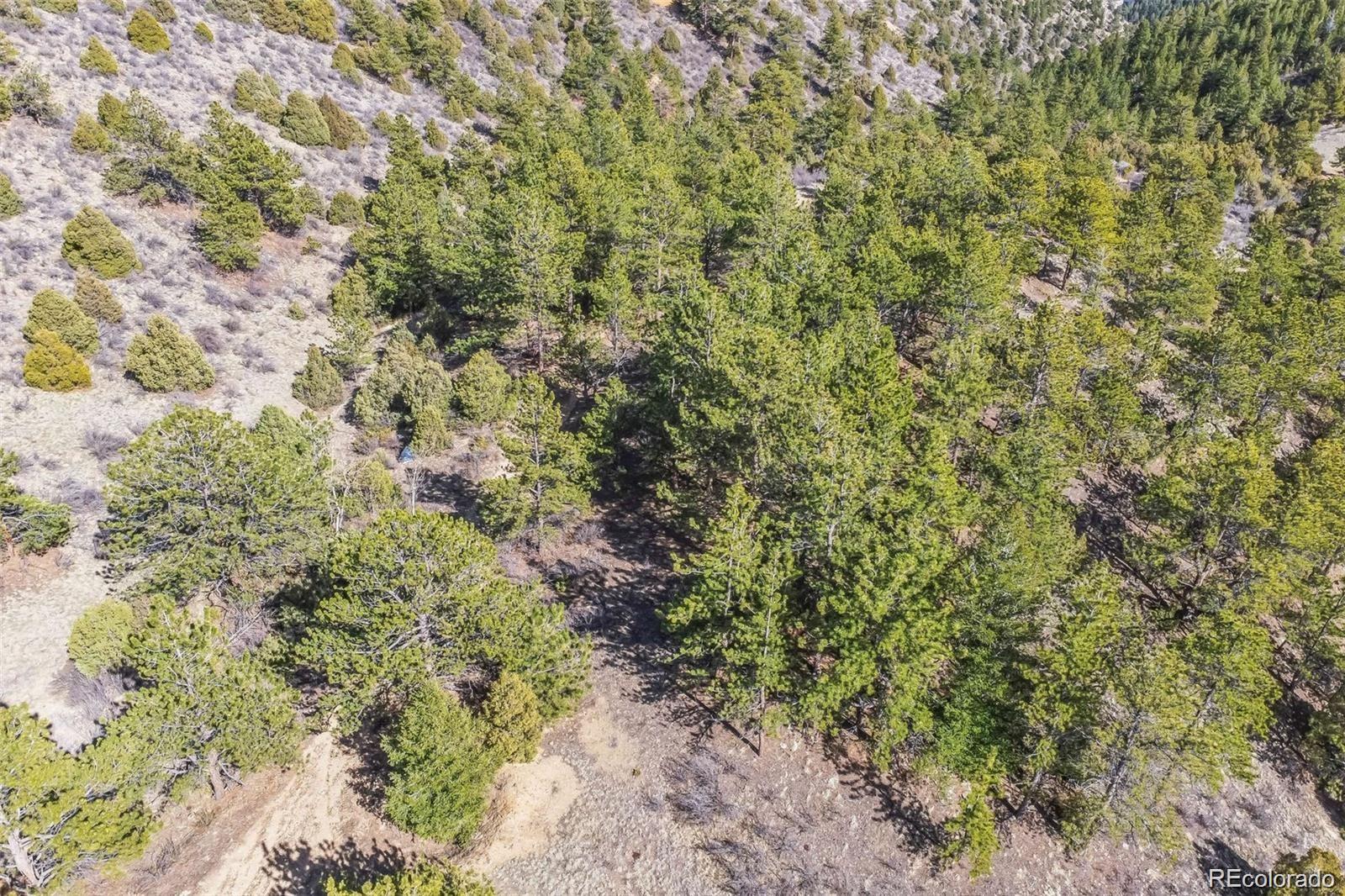 Wild Wagoner Trail Dumont CO 80452