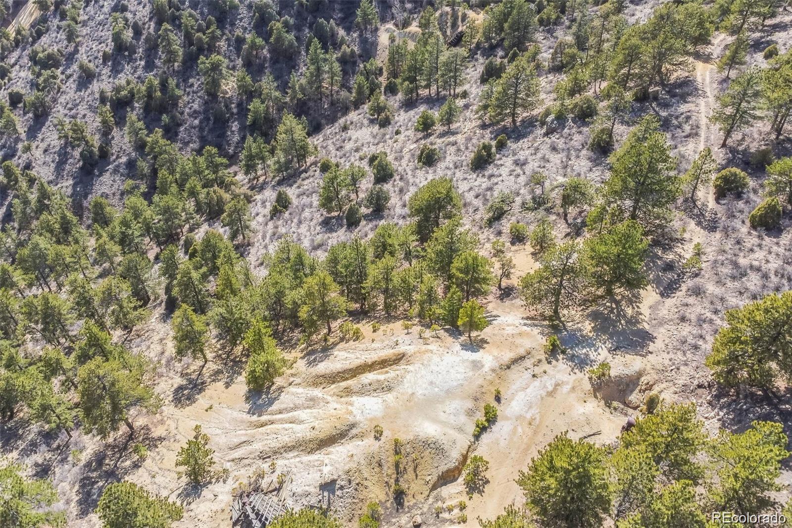 Wild Wagoner Trail Dumont CO 80452