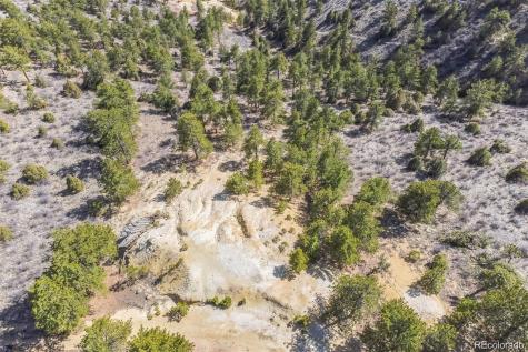 Wild Wagoner Trail Dumont CO 80452