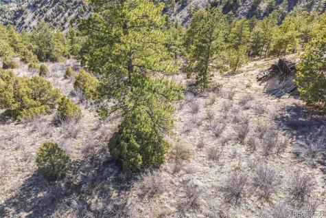 Wild Wagoner Trail Dumont CO 80452