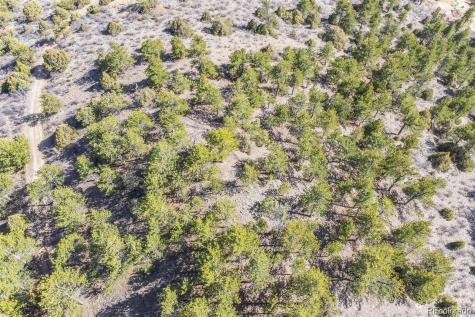 Wild Wagoner Trail Dumont CO 80452