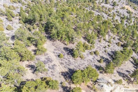 Wild Wagoner Trail Dumont CO 80452