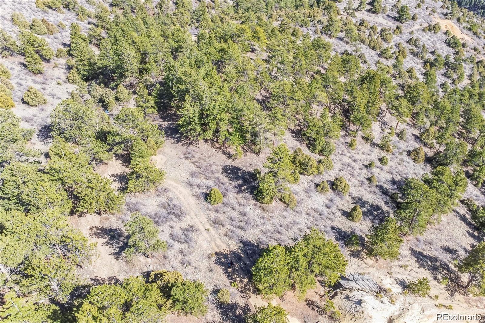 Wild Wagoner Trail Dumont CO 80452