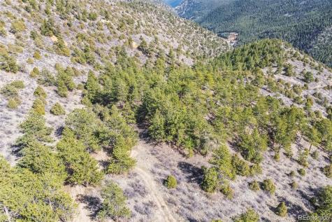 Wild Wagoner Trail Dumont CO 80452