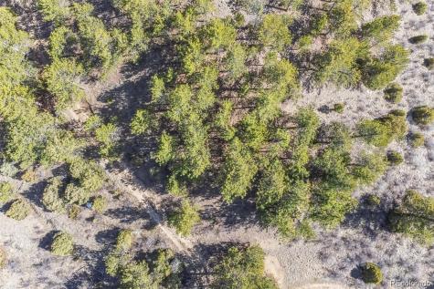 Wild Wagoner Trail Dumont CO 80452