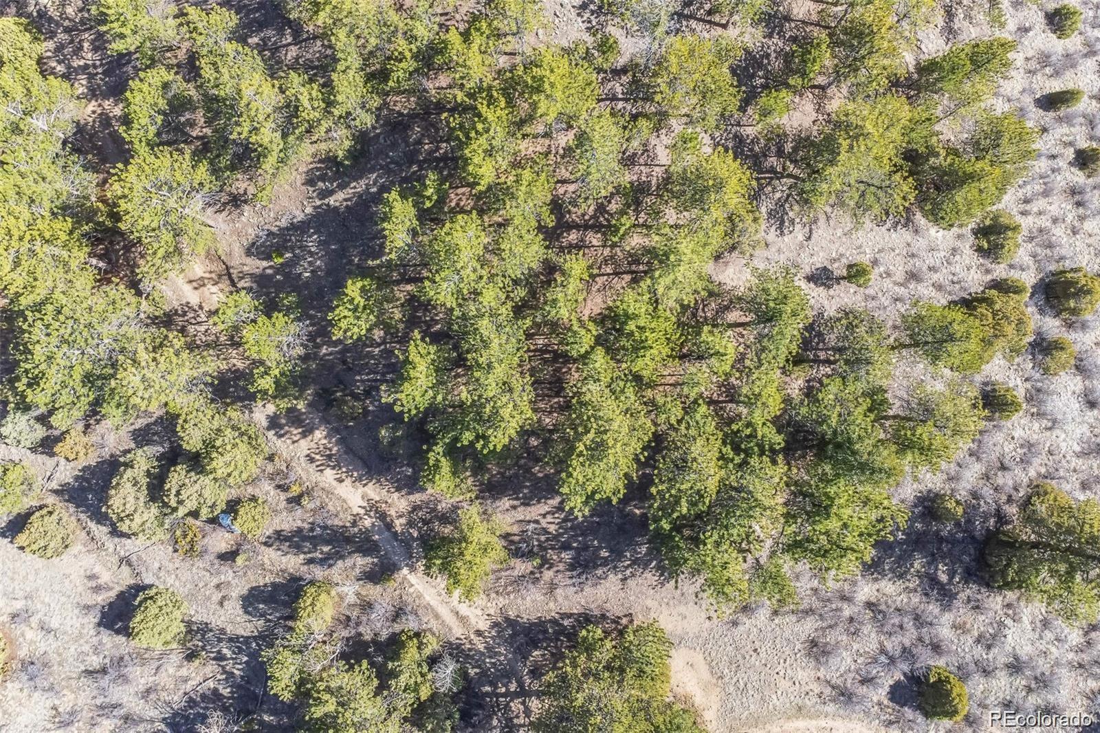 Wild Wagoner Trail Dumont CO 80452