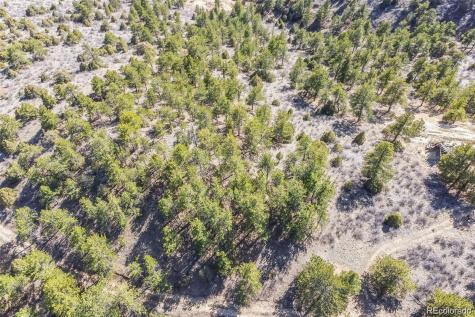 Wild Wagoner Trail Dumont CO 80452