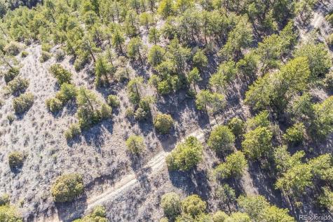 Wild Wagoner Trail Dumont CO 80452