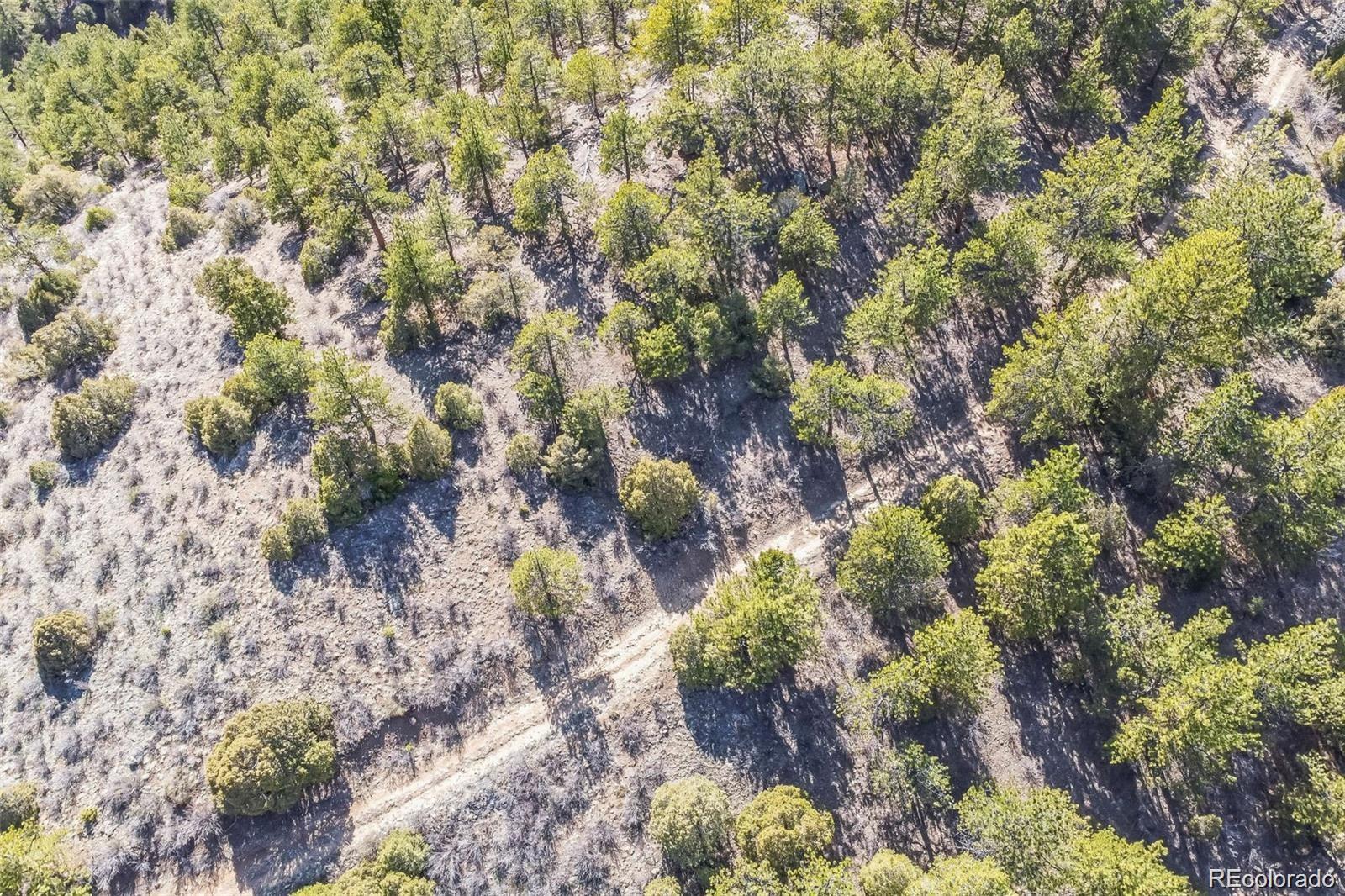 Wild Wagoner Trail Dumont CO 80452