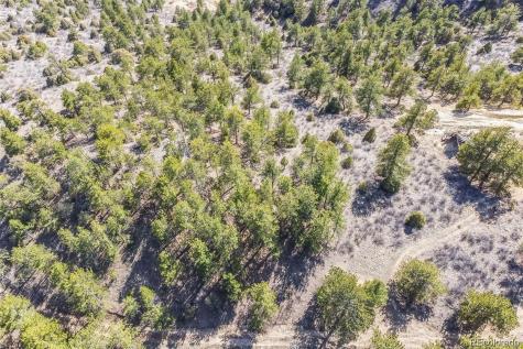 Wild Wagoner Trail Dumont CO 80452