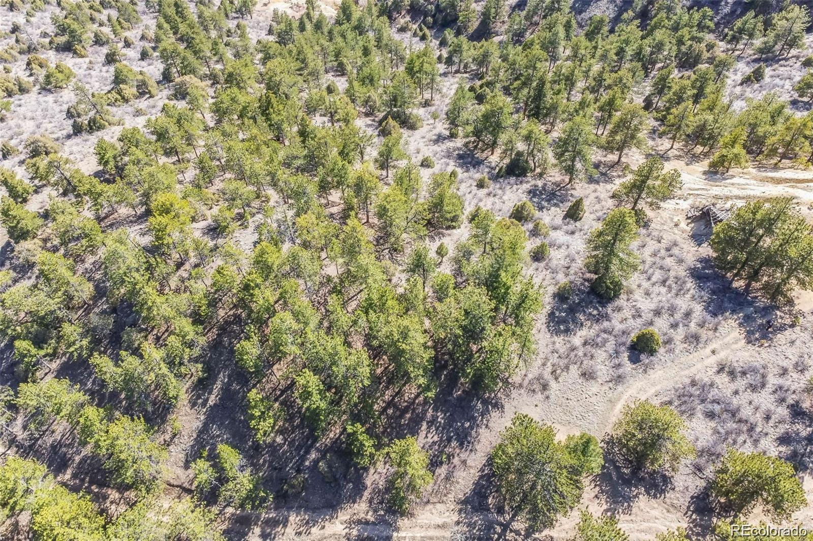 Wild Wagoner Trail Dumont CO 80452