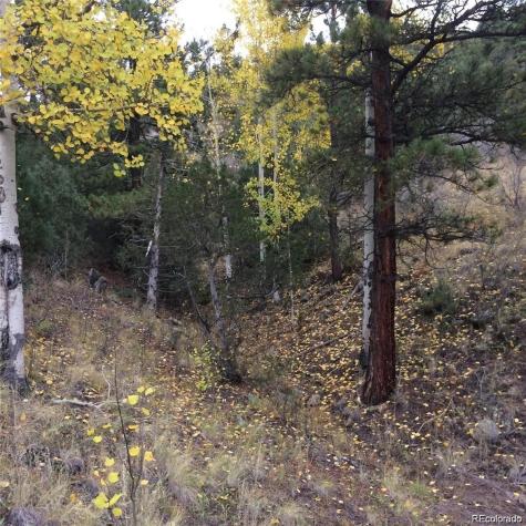 Wild Wagoner Trail Dumont CO 80452