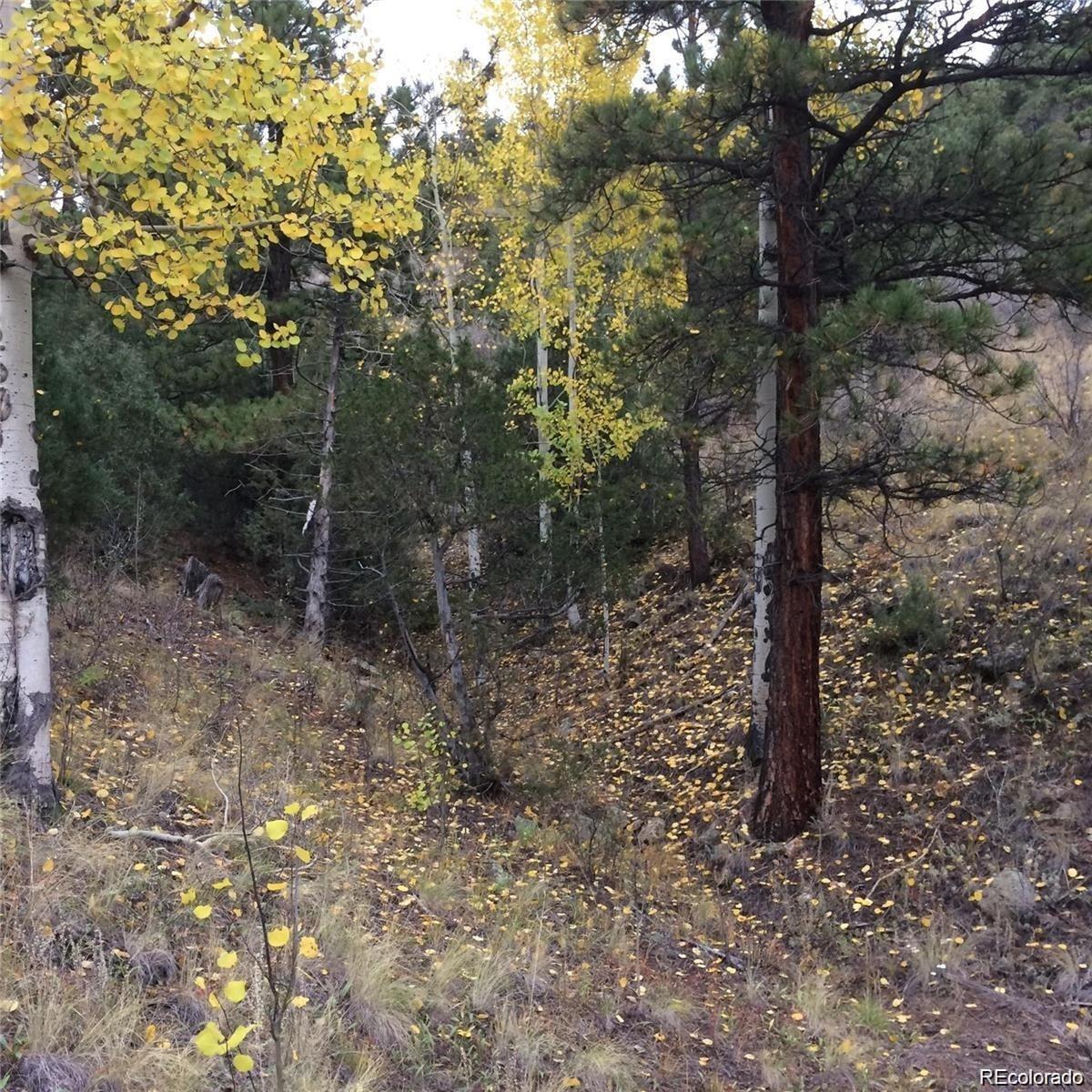 Wild Wagoner Trail Dumont CO 80452