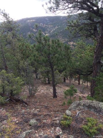 Wild Wagoner Trail Dumont CO 80452