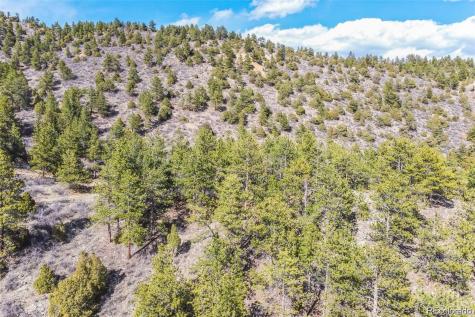 Wild Wagoner Trail Dumont CO 80452