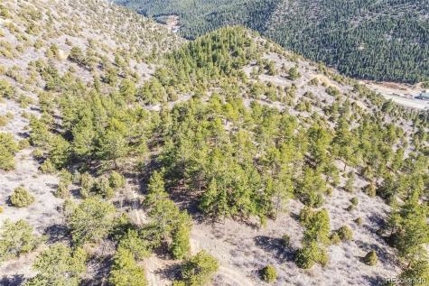 Wild Wagoner Trail Dumont CO 80452