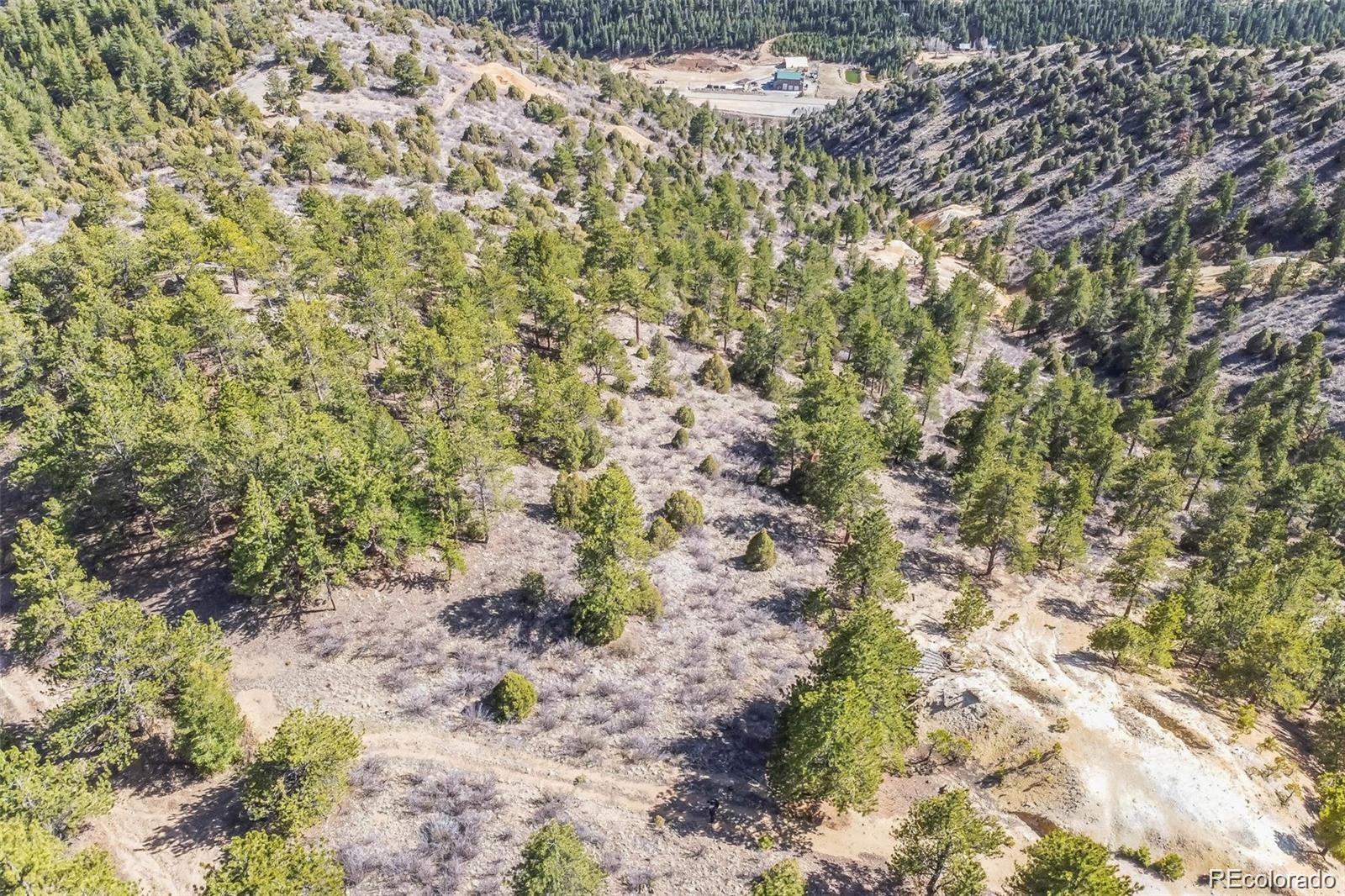 Wild Wagoner Trail Dumont CO 80452