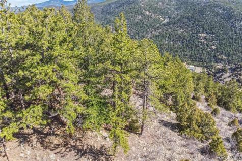 Wild Wagoner Trail Dumont CO 80452