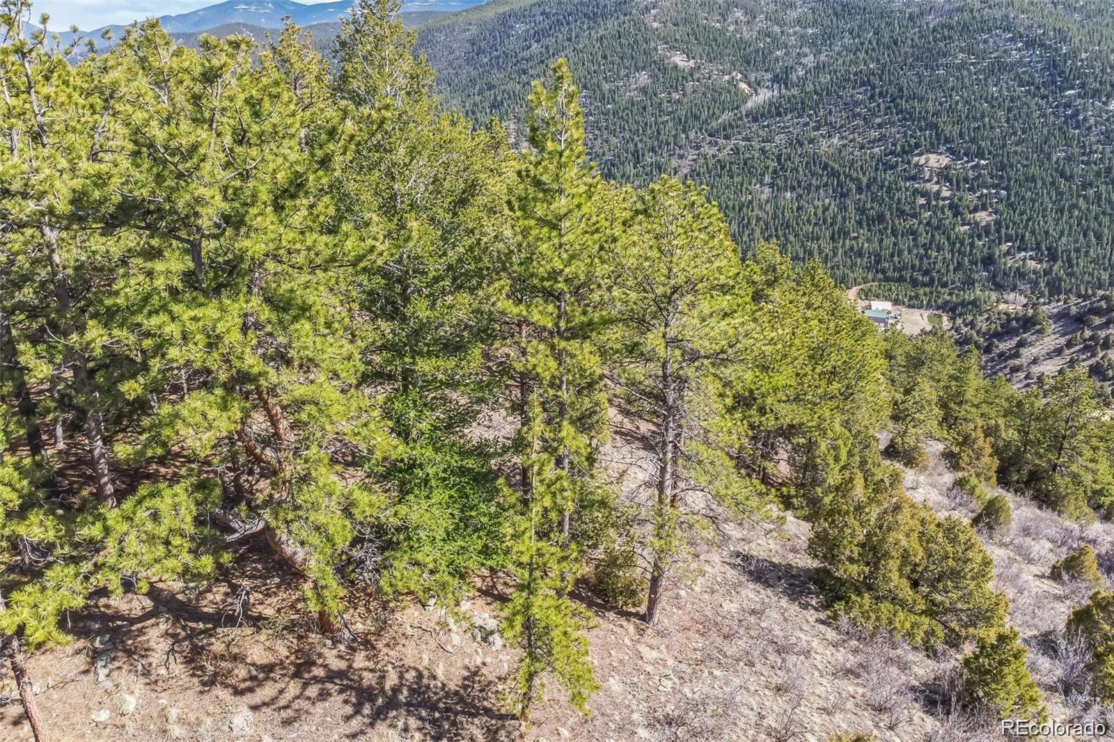 Wild Wagoner Trail Dumont CO 80452