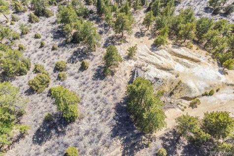 Wild Wagoner Trail Dumont CO 80452