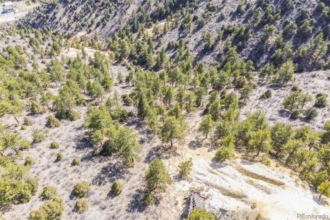 Wild Wagoner Trail Dumont CO 80452
