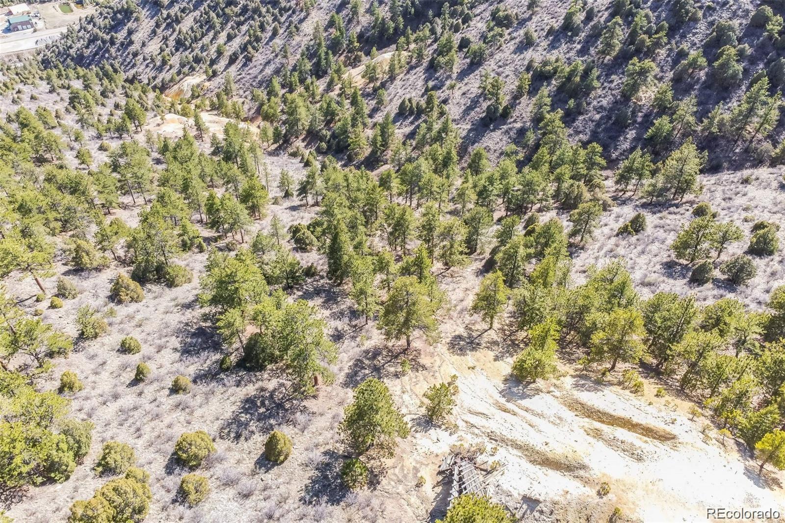 Wild Wagoner Trail Dumont CO 80452