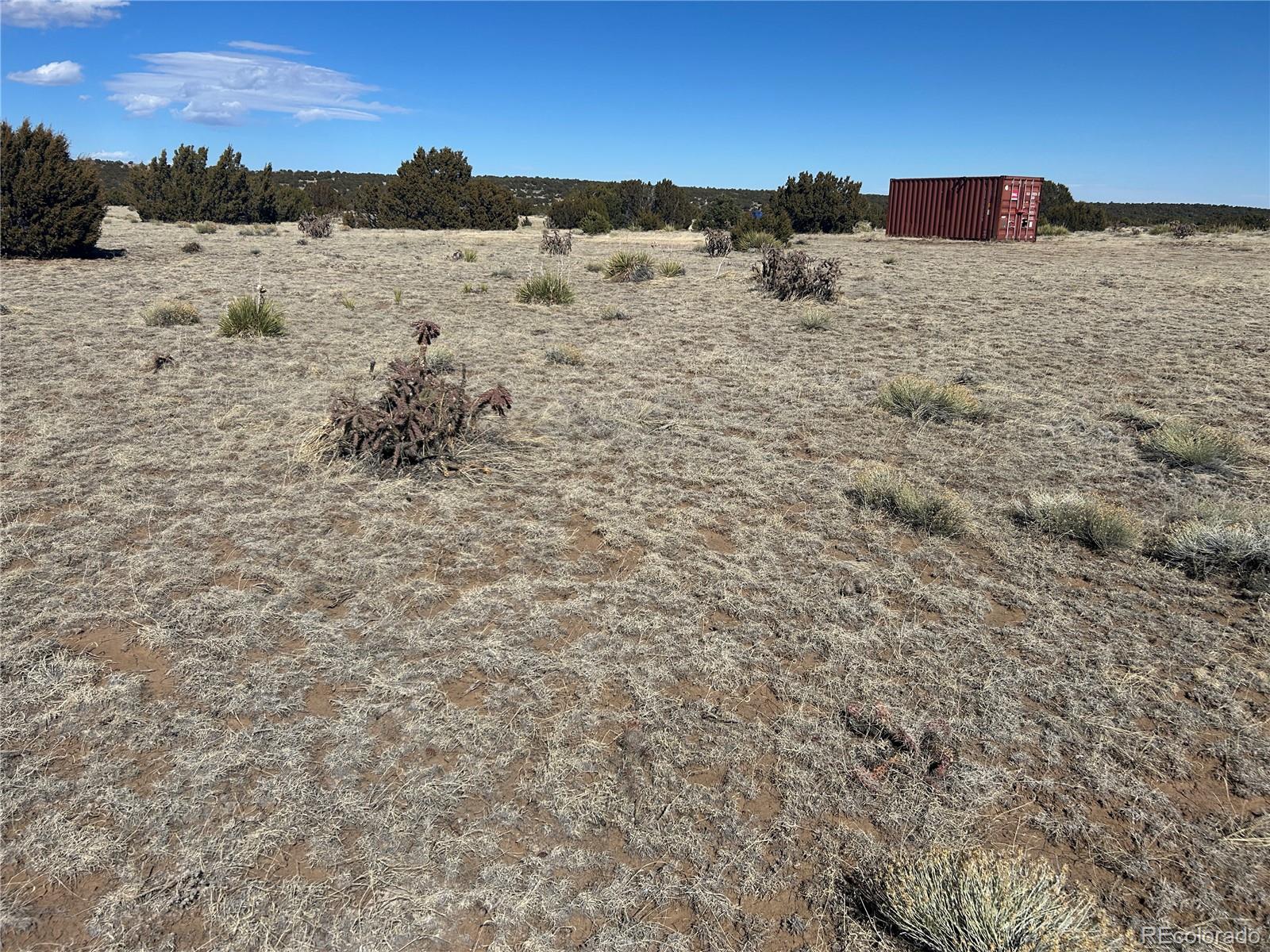 Lot 241 Greenhorn Village Lane Walsenburg CO 81089