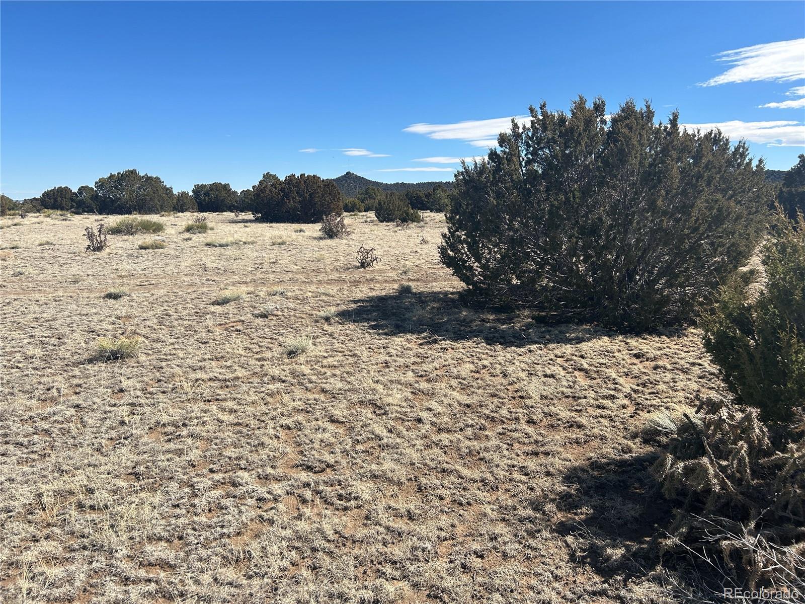 Lot 241 Greenhorn Village Lane Walsenburg CO 81089