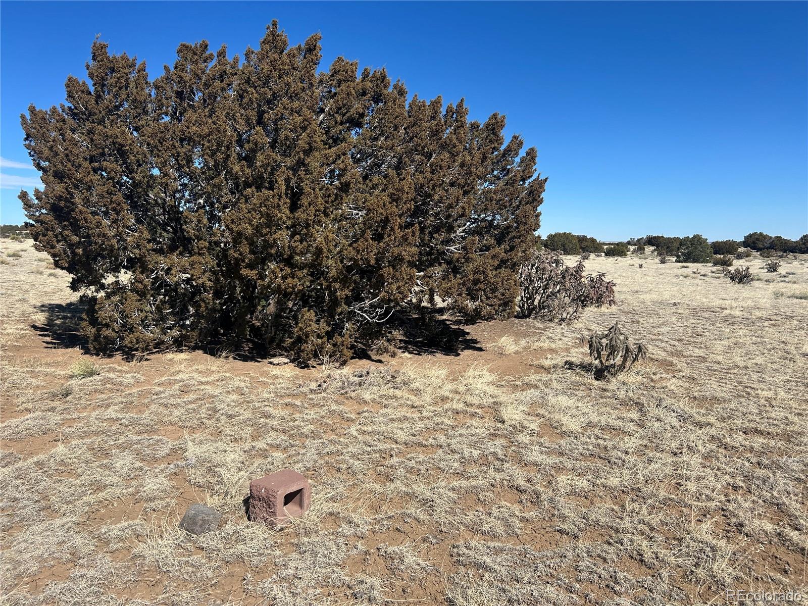 Lot 241 Greenhorn Village Lane Walsenburg CO 81089