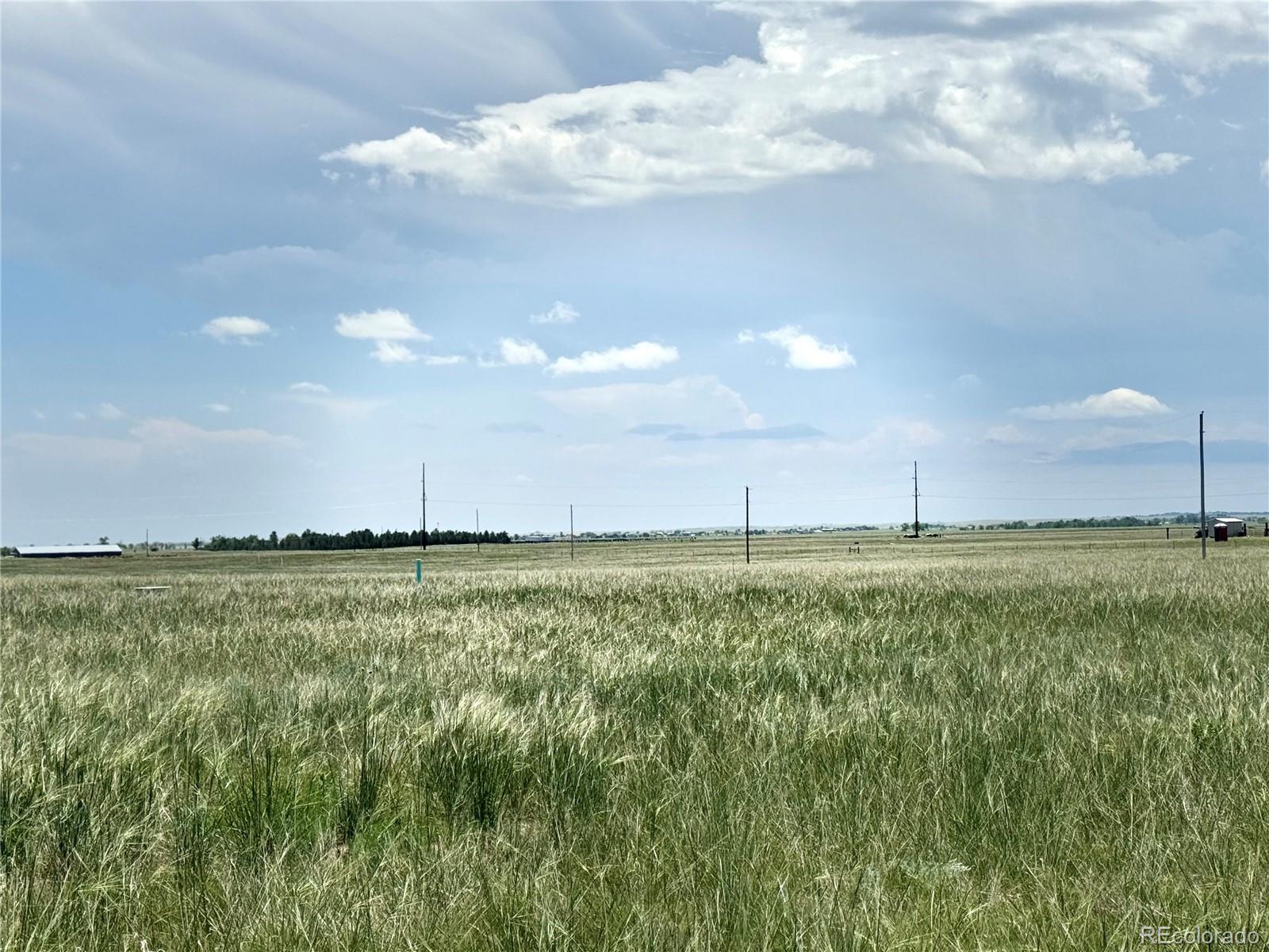 10985 E Us Highway 24 Peyton CO 80831