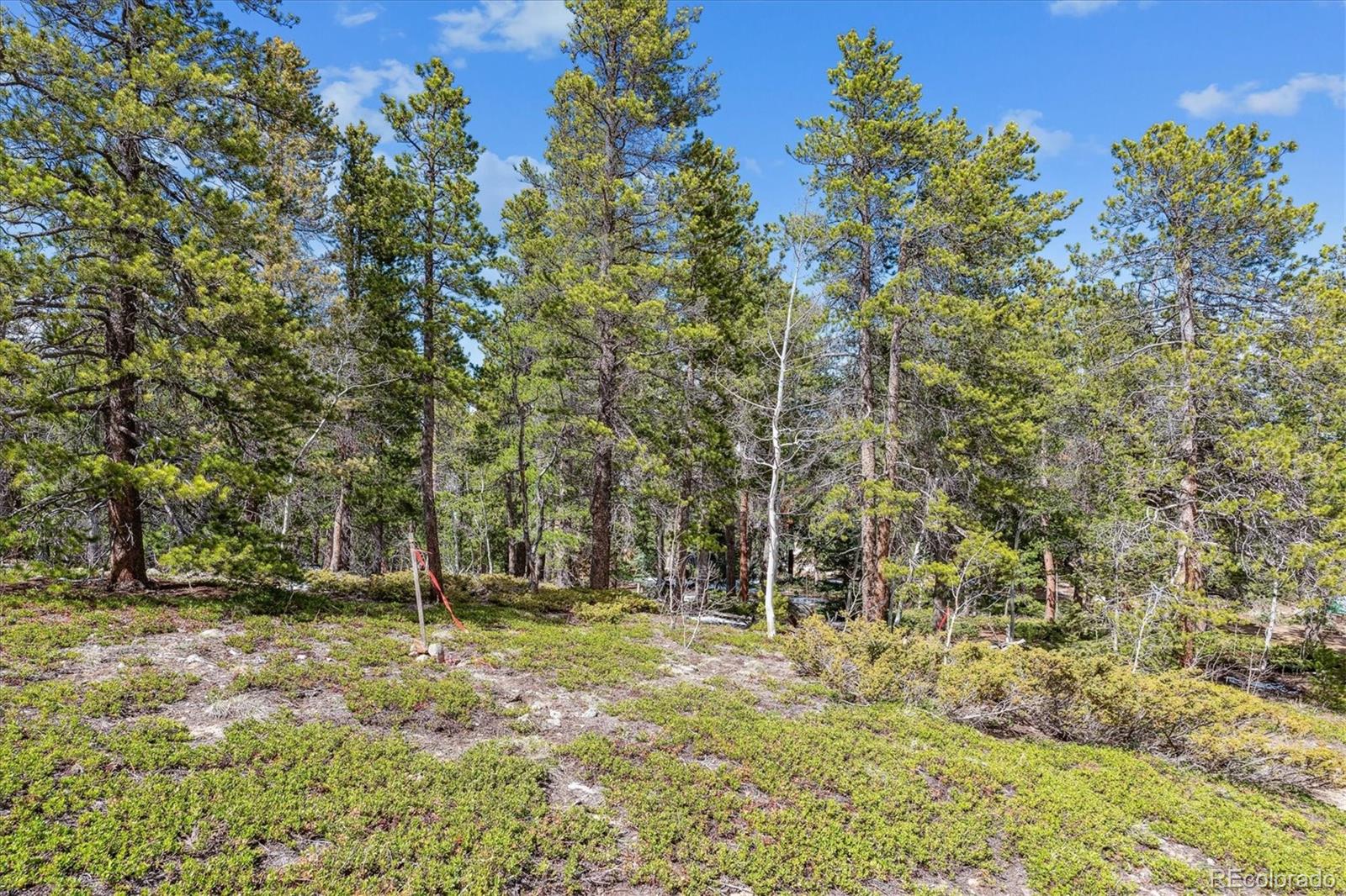 Rock Lake Road Ward CO 80481