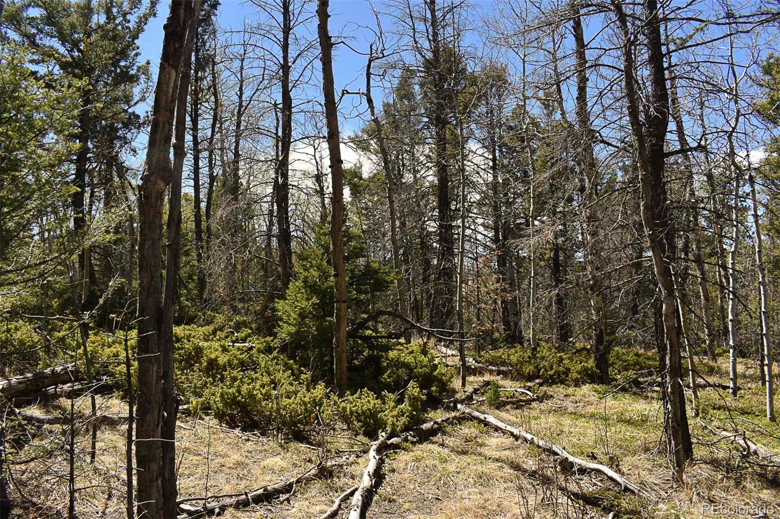 289 Timberline Drive Guffey CO 80820