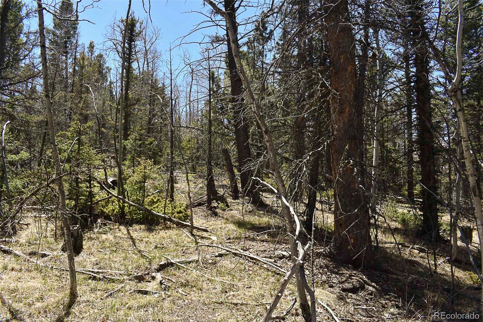 289 Timberline Drive Guffey CO 80820