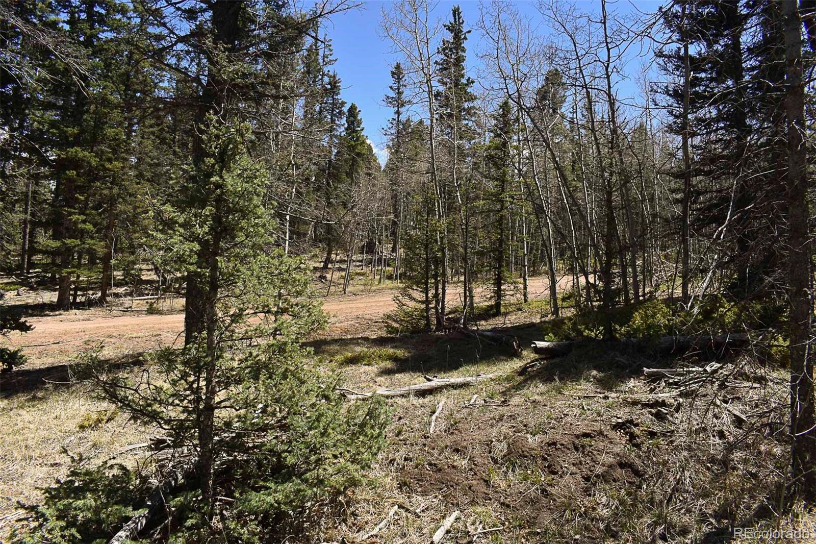 289 Timberline Drive Guffey CO 80820