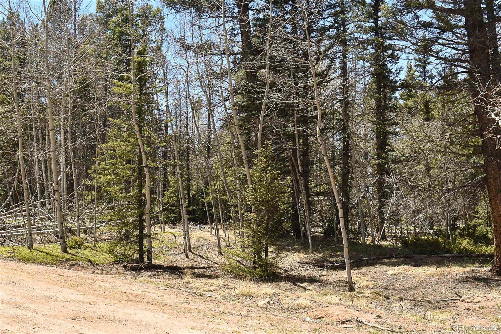 289 Timberline Drive Guffey CO 80820