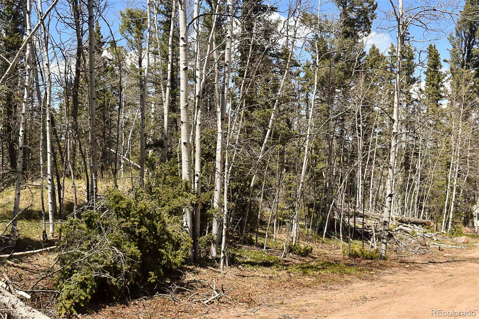 289 Timberline Drive Guffey CO 80820