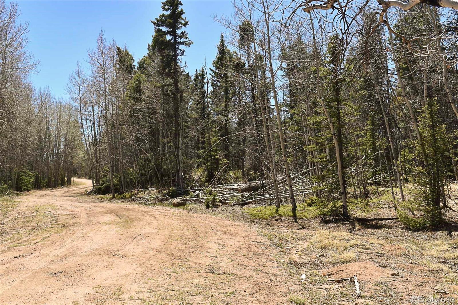 289 Timberline Drive Guffey CO 80820