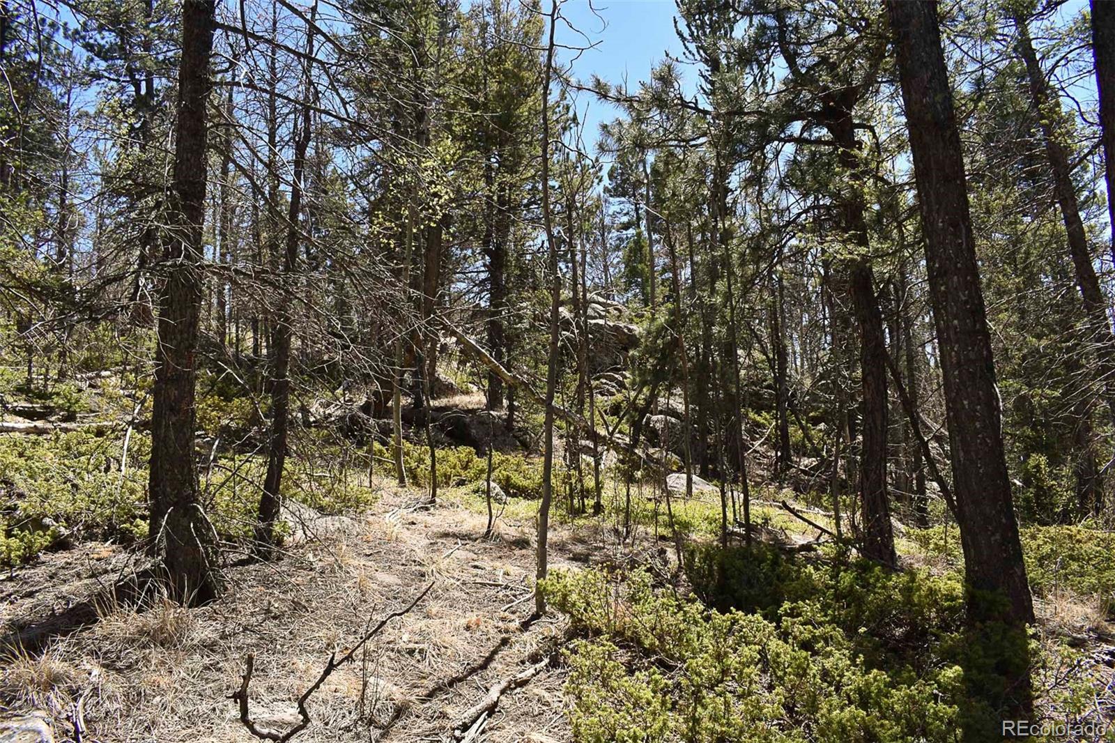 289 Timberline Drive Guffey CO 80820