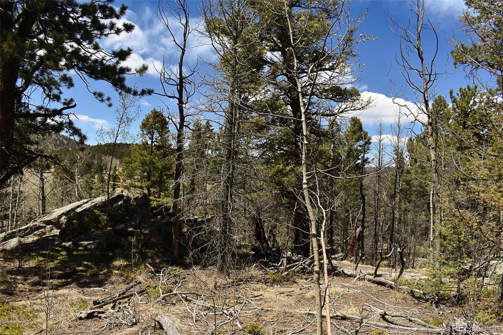 289 Timberline Drive Guffey CO 80820