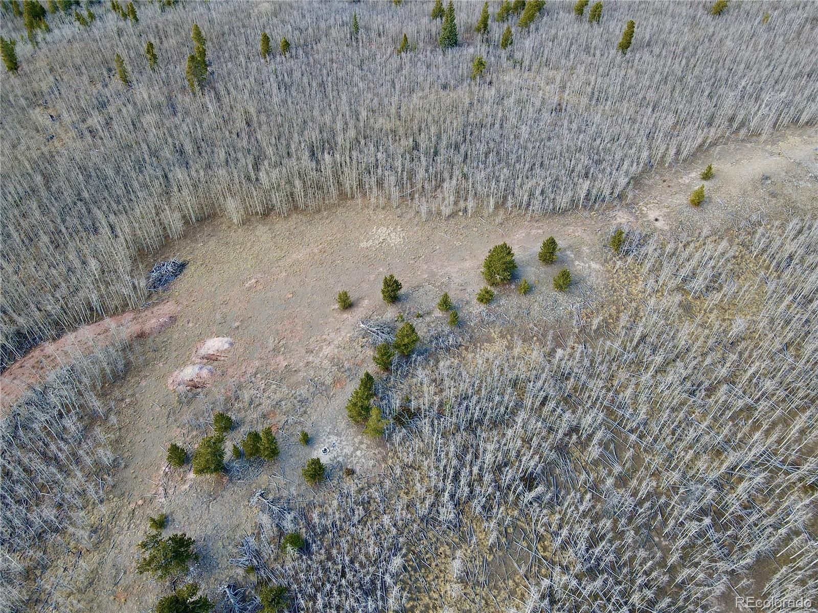 416 Little Baldy Circle Fairplay CO 80440